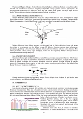www.speros.lt