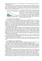www.speros.lt