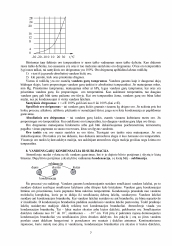 www.speros.lt